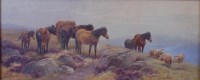 Lot 1499 - Thomas Rowden (1842-1926) - Ponies and sheep...