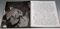 Lot 123 - The Madonna Book of Sex