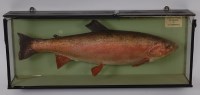 Lot 708 - A mid-20th century taxidermy Rainbow trout...