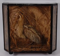 Lot 711 - An early 20th century taxidermy Bitten...