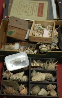 Lot 198 - *Two boxes of miscellaneous sea shells, rock...
