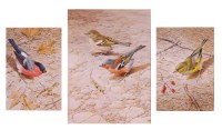 Lot 1475 - Terence James Bond (b.1946) - Triptych study...