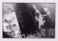 Lot 359 - John Swannell (b.1946) - Untitled, gelatin...