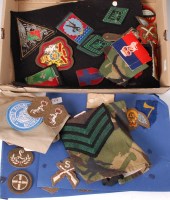 Lot 617 - A collection of assorted cloth badges and...