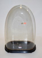 Lot 17 - A Victorian glass dome on ebonised plinth, h.52cm