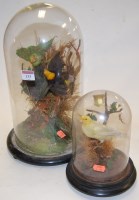 Lot 133 - A Victorian taxidermy group of exotic birds,...