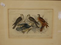Lot 1075 - J Stewart - set of five colour engravings...