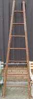 Lot 1137 - A stained pine fruit picker's ladder