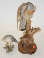 Lot 65 - A wild track figure of a falcon perched on a...