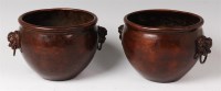 Lot 1392 - A pair of Chinese bronze bowls, each having Fo...