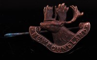 Lot 211 - A WW I Royal Newfoundland Regiment cap badge.