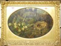 Lot 1027 - 19th century English school - Birds nest in...