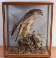 Lot 1337 - A late Victorian taxidermy hawk,...