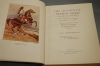 Lot 430 - WENTWORTH Lady, The Authentic Arabian Horse,...