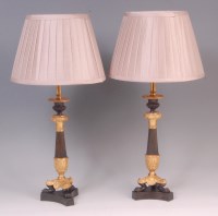 Lot 545 - A pair of 19th century bronze and gilt bronze...