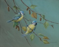 Lot 733 - Raymond C Watson (b.1935) - Bluetits, gouache,...