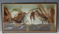 Lot 722 - A stuffed and mounted pair of common snipe, in...