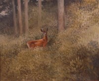 Lot 165 - Hubert J Pepper (1928-1985) - Standing deer in...