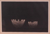 Lot 199 - Yozo Hamaguchi (Japanese 1909-2000) - Fennel,...