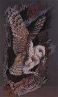 Lot 211 - Reginald Francis Snook (b.1938) - Barn owl,...