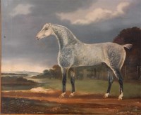 Lot 630 - John Robert Hobart (1788-1863) - Grey gelding...