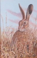 Lot 632 - Mark Chester - Resting hare, acrylic, signed...