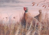 Lot 633 - Mark Chester - Pheasants at Billingford,...