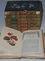 Lot 343 - BOX, The Floricultural Cabinet 1847 to 1854,...