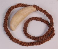 Lot 651 - A Fijian whale tooth tabua, on coconut fibre...