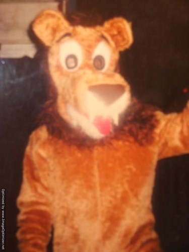 Lot 56 - Lion full overhead fur costume with body and...