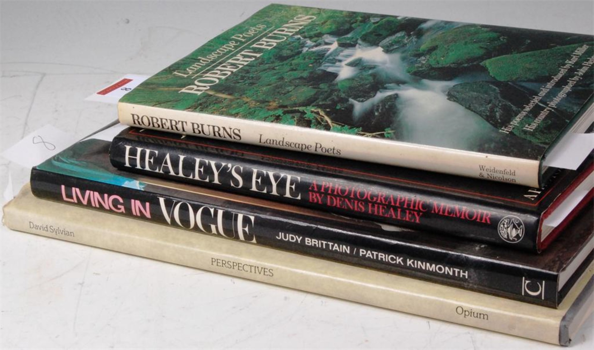 デヴィッド・シルヴィアン ポラロイド写真集 Perspectives - David