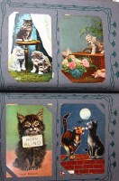 Lot 50 - Cats, two albums - to include real photographs,...