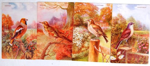 Lot 86 - George Rankin - various birds to include;...