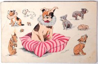 Lot 71 - Zavia Sager - Glamorous Pets x5, each with...