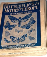 Lot 513 - KIRBY W.F., Butterflies and Moths of Europe,...