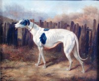 Lot 873 - Circa 1900 English School - Study of a lurcher...