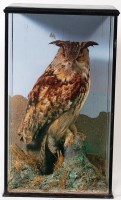 Lot 763 - A stuffed and mounted Eurasian eagle owl, in...