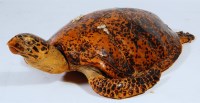 Lot 765 - A Victorian stuffed turtle, with barnacles, 98cm