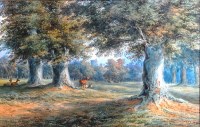 Lot 427 - Stanfield Shepherd (1834-c1900) - Deer in...