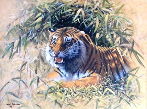 Lot 725 - Mark Whittaker (b.1964) - A snarling tiger,...
