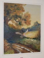 Lot 1018 - Martin Woodcock - Owl in flight, watercolour...