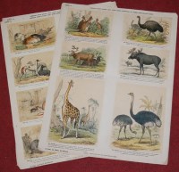 Lot 1102 - Four printed sheets from Thomas Dean & Son,...