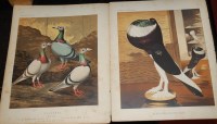 Lot 1112 - After J W Ludlow - quantity of coloured prints...