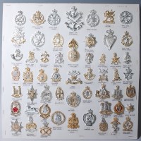 Lot 1096 - A collection of assorted cap badges and...
