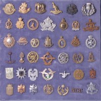 Lot 1109 - A collection of assorted cap badges and...