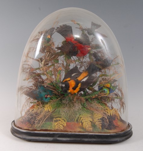 Lot 1639 - A Victorian taxidermy group of eight exotic...