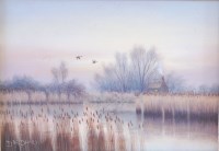 Lot 2368 - David Dane - Broadland scene with ducks, oil...