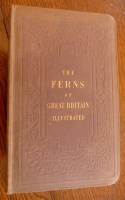 Lot 2065 - JOHNSON Charles, The Ferns of Great Britain;...