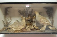 Lot 25 - A taxidermy group of game birds with chicks,...
