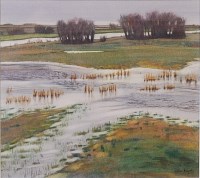 Lot 568 - Lillias August (b.1955) - Fen flood,...